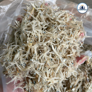 cá mờm sữa hoàng ngư