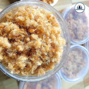 Ruốc bề bề hoàng ngư