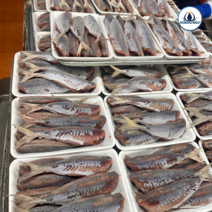 cá nục 1 nắng hoàng ngư